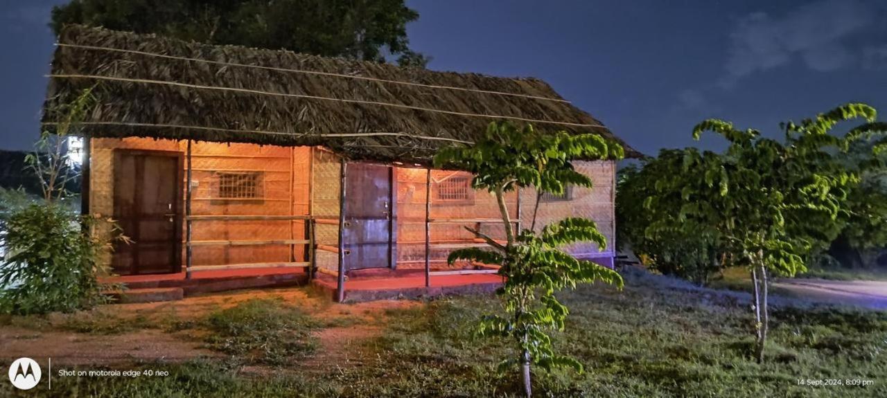 Banana Tree Home Stay Hampi Exterior foto